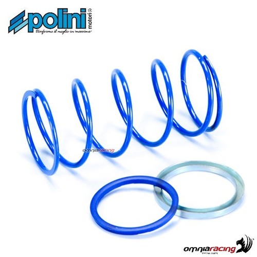 Polini variator evo slider - polini,