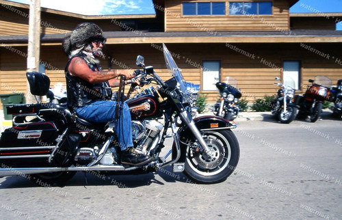 Harley davidson motorcycle - harley,