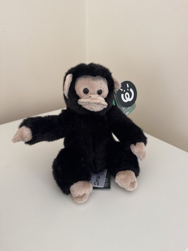 Chimpanzee monkey soft - chimpanzee,