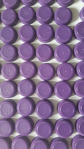 Purple plastic water bottle - 54,