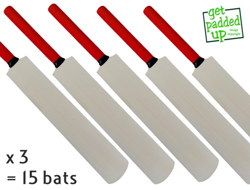 Miniature cricket bats - x, 15
