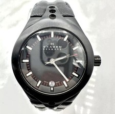 RARE! Skagen Denmark Titanium