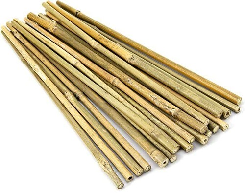 Bamboo stakes plant - stakes,