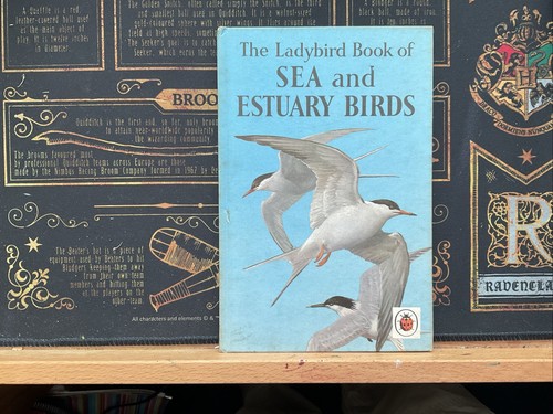 The ladybird book sea and - ladybird,