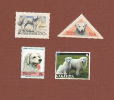 Kuvasz dog postage stamps set