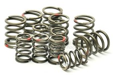 Valve spring set - spring, triumph
