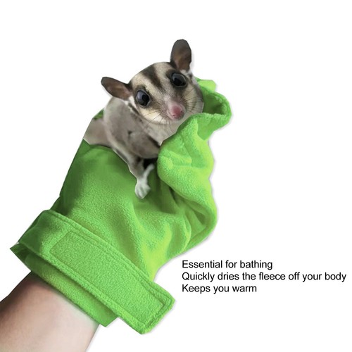 Sugar glider bonding - bonding, mitt