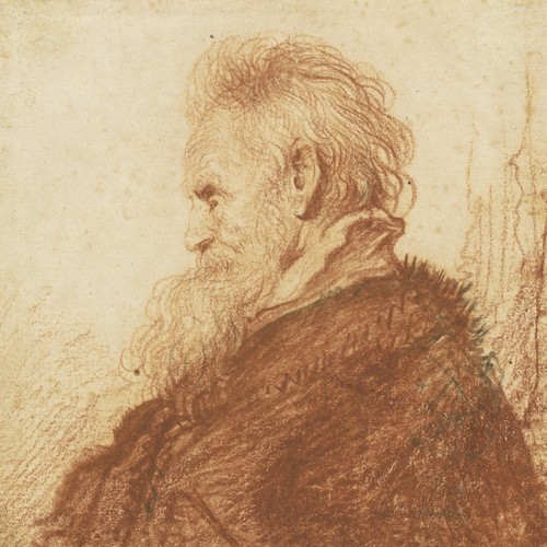 Rembrandt head an old - -, of