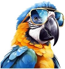 Blue gold macaw parrot bird - blue,