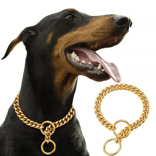 Dog chain collar heavy - collar, duty