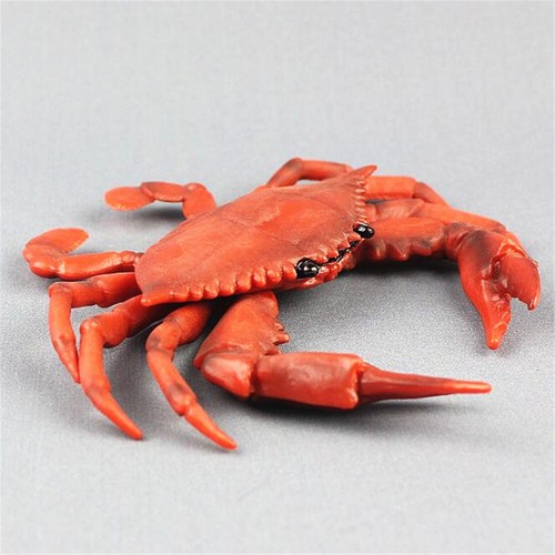 Red crab realistic sea - crab, animal