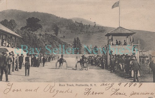 Prattsville harness horse - prattsville,