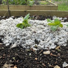 Wool Mulch for Plants –