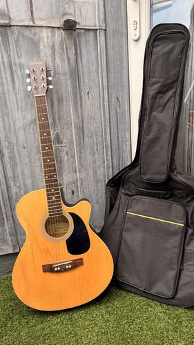 Eastwood acoustic guitar - acoustic,