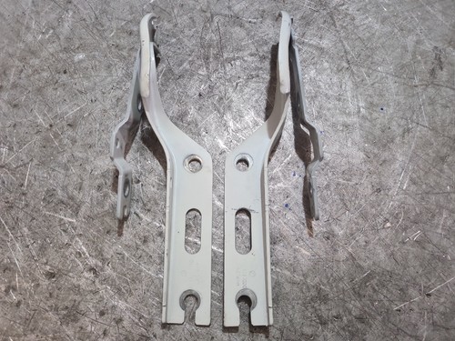 2022 polo bonnet hinges - 2022,