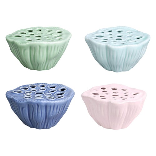 Lotus pod flower - lotus,