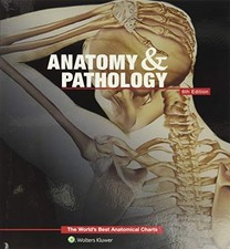 Anatomy & Pathology: The World's Be..., Anatomical Char