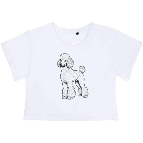 Standard poodle adult - adult, cotton