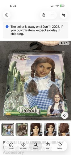 Wizard dorothy wig - wizard, of