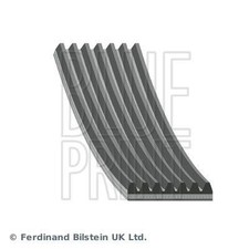 Blue print ribbed belt - v-ribbed,