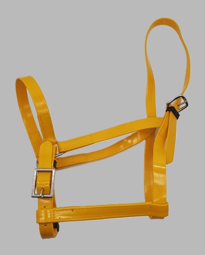 Horse halter adjustable - halter,
