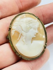 Antique high quality shell