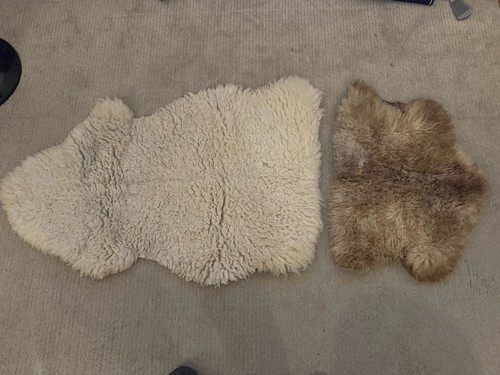 Sheep skin rugs - sheep,