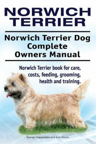 Norwich terrier - norwich,