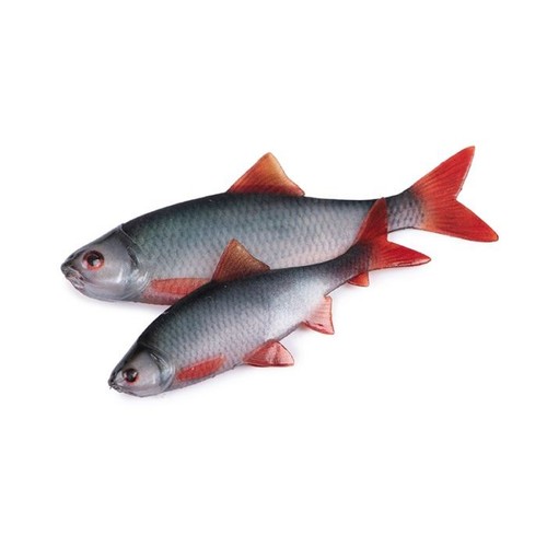 Fox rage ultra natural roach - rage,