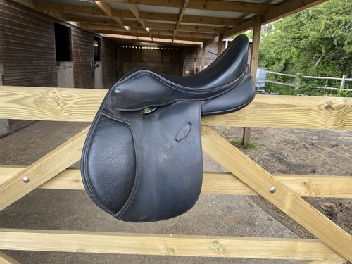 Inch arena pony - inch,
