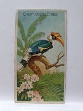 Allen & Ginter Cigarette Card