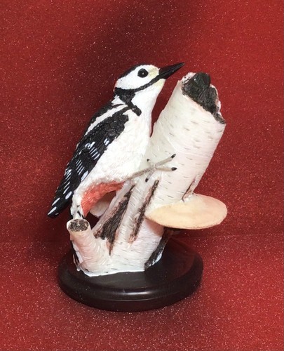 Country bird collection - bird,