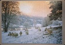 House Of Puzzles HOP Frosty