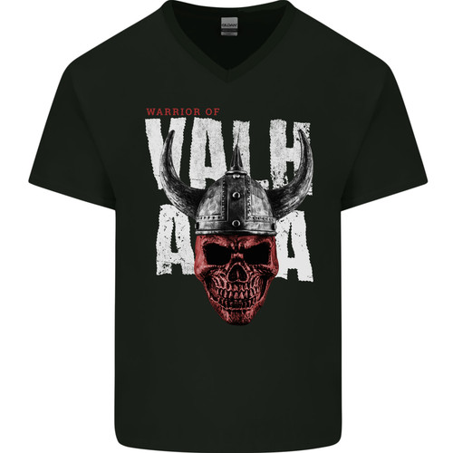 Viking warrior skull valhalla - warrior,