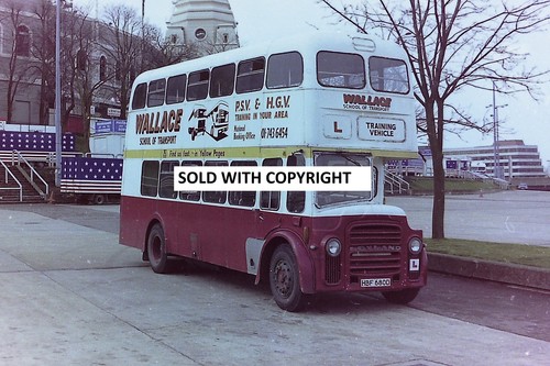 Bus negative 35mm - negative, wallace