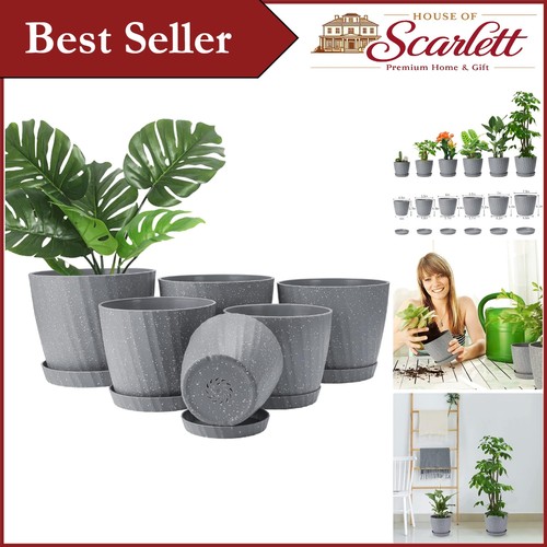 Elegant grey plant - plant, pots