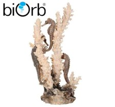 Biorb Seahorses On Coral Large