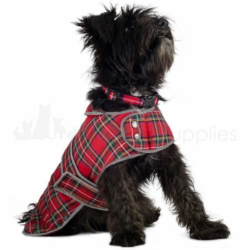 Ancol muddypaws dog coat warm - dog,