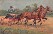 Jockey & Horses racing 4 wheel