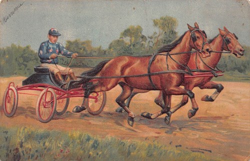 Jockey horses racing 4 wheel - racing,