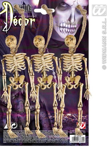 Halloween prop skeleton party - halloween,