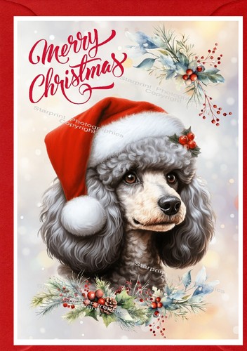 Poodle dog christmas - (grey),