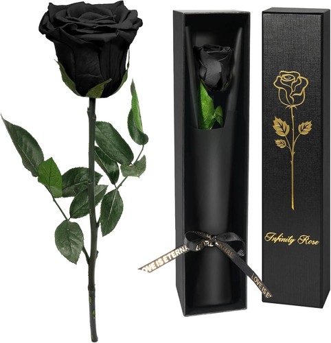 Preserved black rose gift - black,