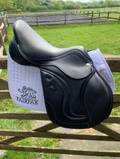 Fairfax zodiac aries jump