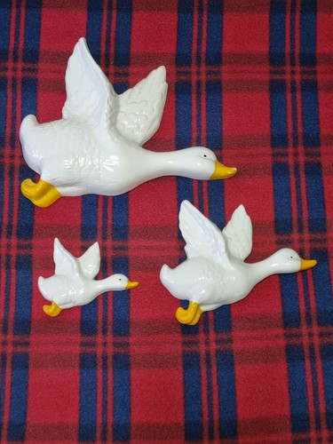 Wall ducks flying - ducks,