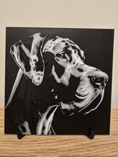 Great Dane Puppy Hueforge