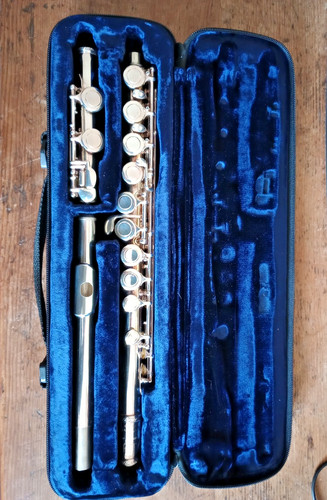 Trevor james 10x flute with - 10x,