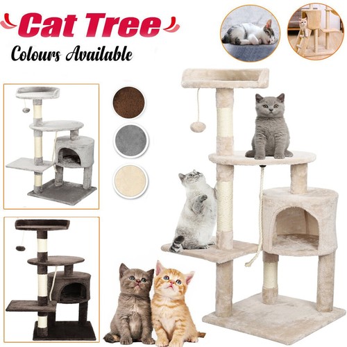Tall cat tree - cat,