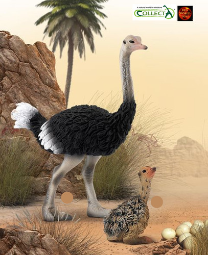 Ostrich bird toy - bird, model