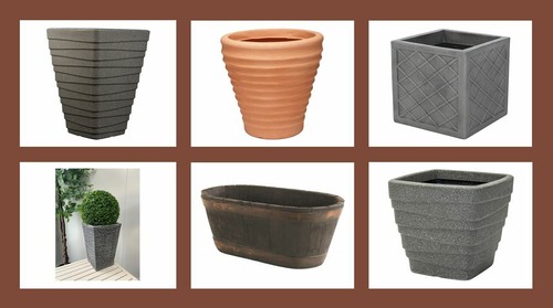 Large outdoor plant pots - plant,